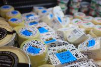 Стартовала весенняя "Кубанская ярмарка"