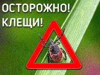 Осторожно, клещи!