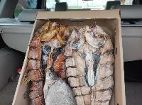 Сотрудники полиции проводят проверки в рамках мероприятия «Путина-2026»