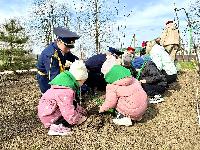 Сад памяти: связь поколений