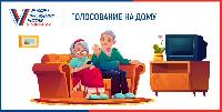 Голосование на дому