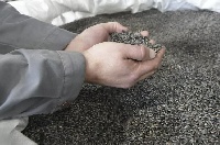 Почва для роста: как господдержка помогает развиваться агробизнесу