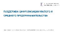 Поддержка цифровизации малого и среднего предпринимательства