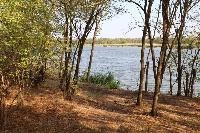 Бейсугский лес получил бессрочный охранный статус