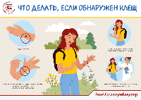 Внимание! Клещи!
