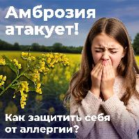 Внимание амброзия!