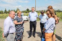 Турецкая компания планирует вложить 2,2 млрд рублей в строительство тепличного центра в Брюховецком районе