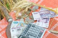 Брюховецкие фермеры могут получить субсидии