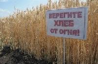 Соблюдение правил пожарной безопасности при уборке зерновых колосовых культур