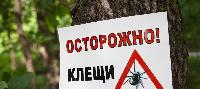 Осторожно, клещи!  