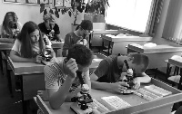 Персиковый сад, теплица с перцем и помидорами