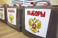 На Кубани заработал сайт предварительного голосования