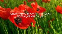 В Брюховецком районе проходит операция "МАК 2023"