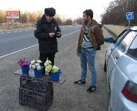 На Кубани пройдет акция «Первоцветы»