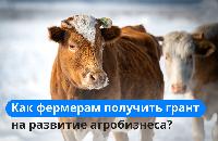 Как фермерам получить грант на развитие бизнеса