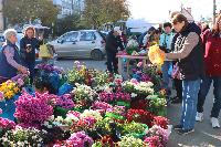 Все краски осени - на ярмарке выходного дня