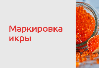 С 1 июня 2026 года вводится поэкземплярный учет икры осетровых и лососевых