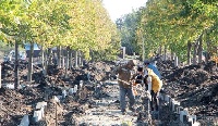 Чернобыльская аллея благоустраивается