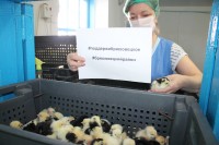 Поддержи Брюховецкое!