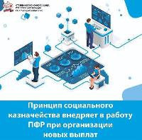 Принцип социального казначейства внедряет в работу ПФР при организации новых выплат в соответствии с поручением Президента РФ