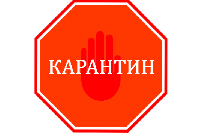 В Краснодарском крае объявлен карантин