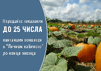 Успей подать показания