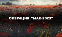 Стартовал 2 этап оперативно-профилактической операции «Мак-2023» 