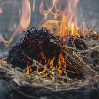 Экстренное предупреждение 