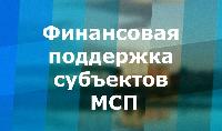 Предоставление субсидий субъектам малого и среднего предпринимательства и социально ориентированным некоммерческим организациям на проведение мероприятий по профилактике новой коронавирусной инфекции