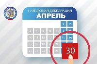 Задекларировать свои доходы необходимо не позднее 30 апреля 2026 года