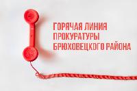 Прокуратурой Брюховецкого района организована «горячая линия»