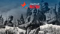 «Диктант Победы»