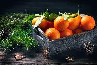 В Краснодаре пройдет новогодняя оптовая ярмарка фермерской продукции