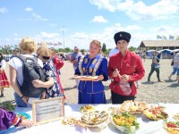 Брюховецкие творческие коллективы приняли участие в краевом фестивале «Гарнэ сальце»